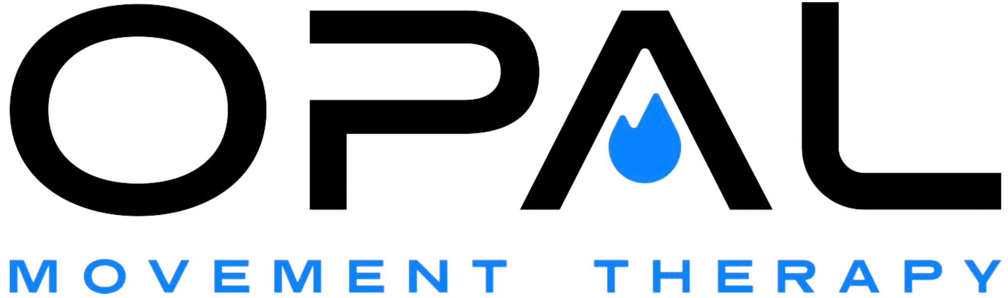 Transparent_BlackLogo-1