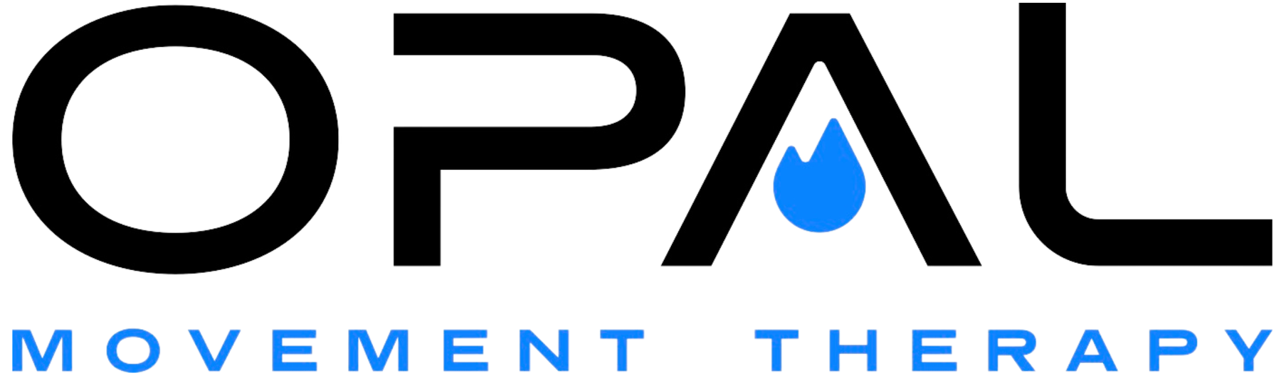 Transparent_BlackLogo-4